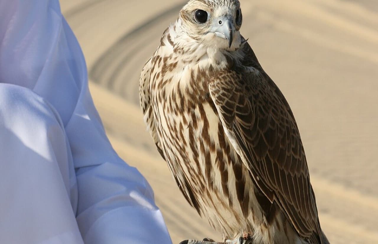 Cultural Heritage